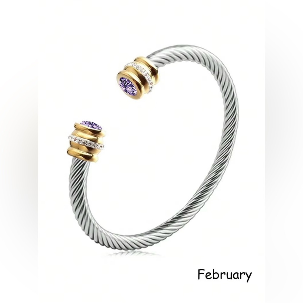 February Silver & Gold Bracelet